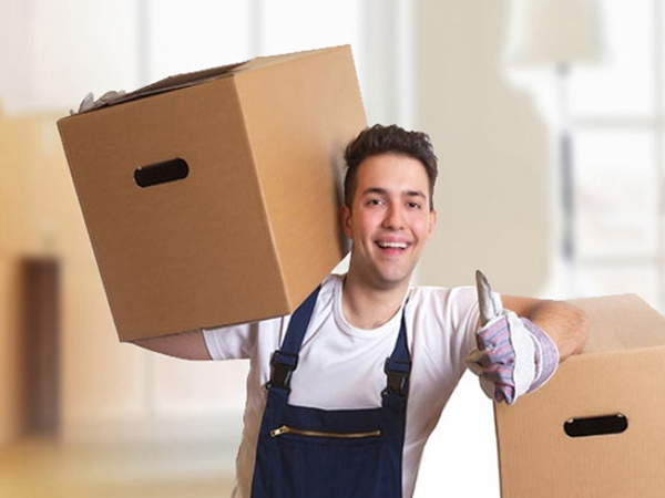  Alfa Logistics Packers and Movers